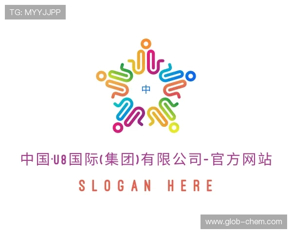 介绍U8国际集团